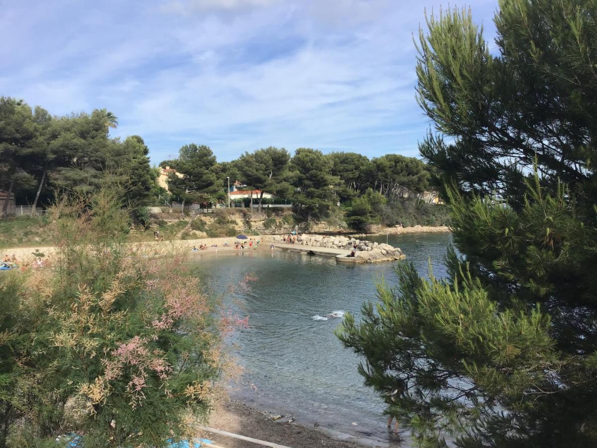 Studio Plage Du Cap Rousset 卡里勒鲁埃 外观 照片